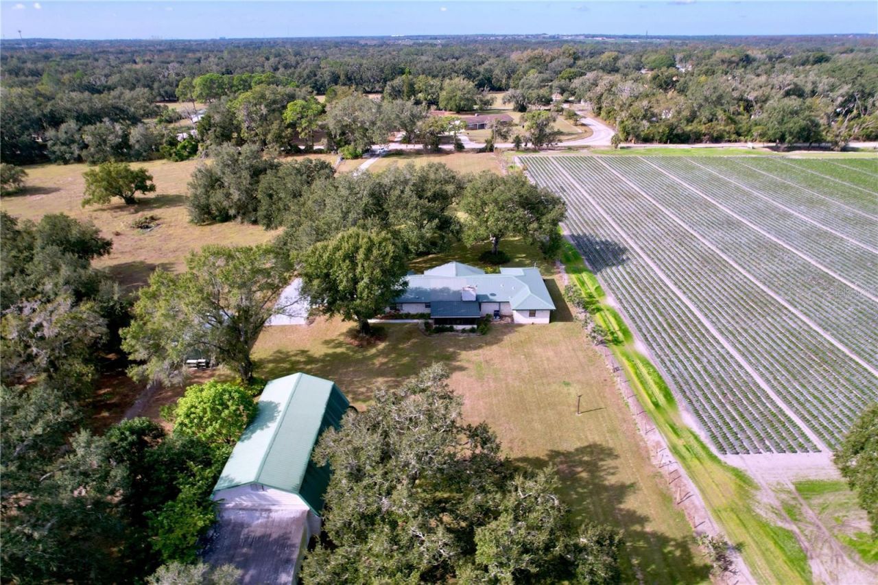 9471 Mcintosh Road, Dover, FL 33527 Photo