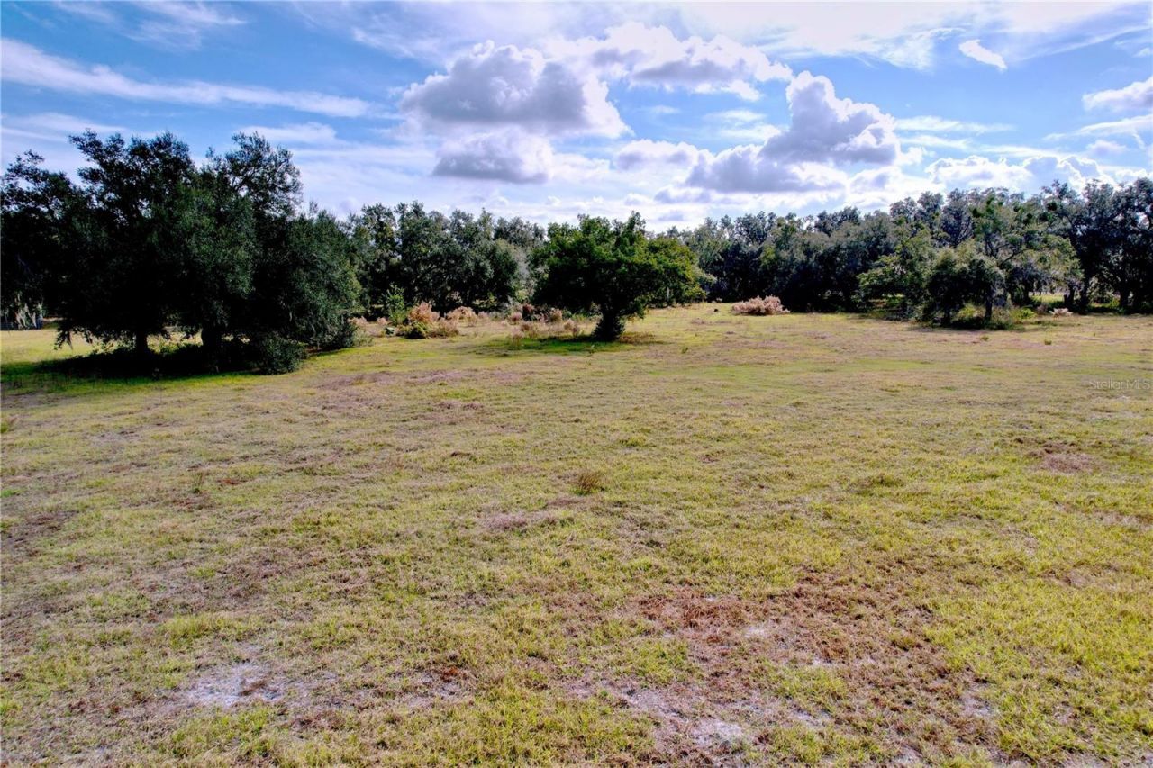 9471 Mcintosh Road, Dover, FL 33527 Photo
