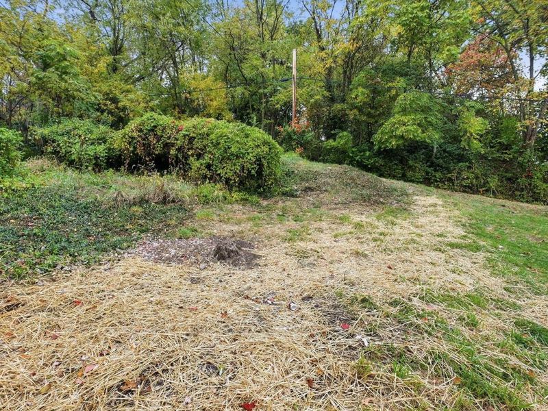 1041 Market Street, Zanesville, OH 43701 Photo 33