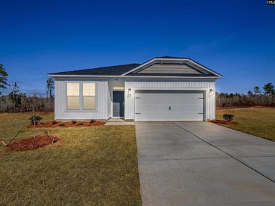 636 Old Charleston Road, Pelion, SC 29123