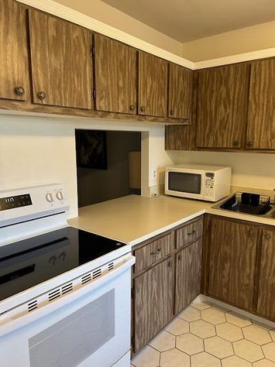 221 Lake Meryl Drive, West Palm Beach, FL 33411 Photo