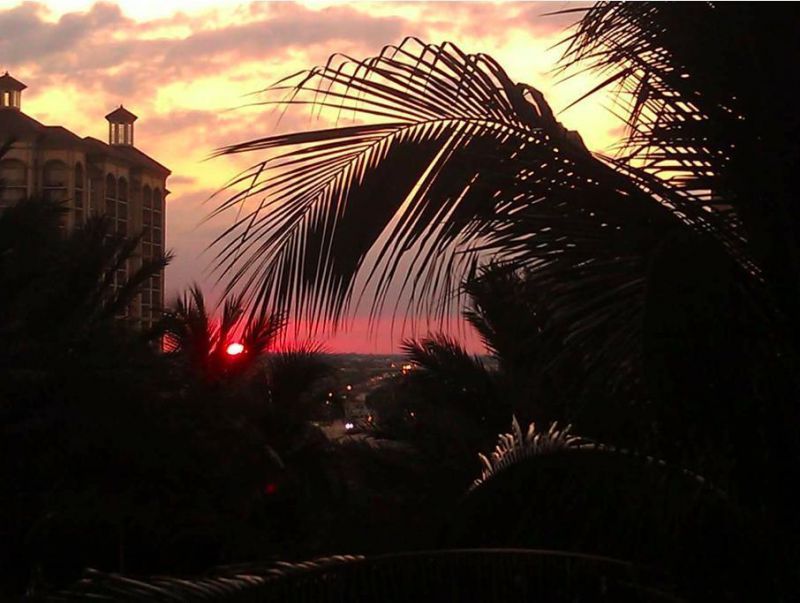 801 S Olive Avenue, Unit 921, West Palm Beach, FL 33401 Photo