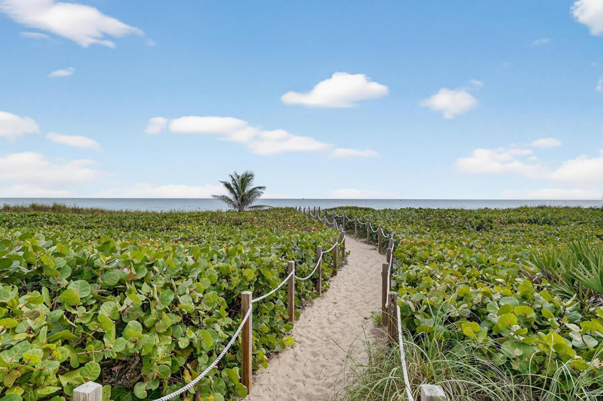 250 S Ocean Boulevard, Unit 252, Delray Beach, FL 33483 Photo