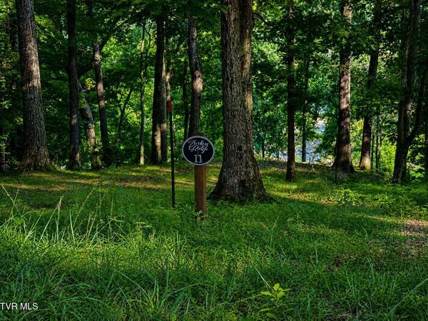 2297 Turkey Ridge Lane, Piney Flats, TN 37686