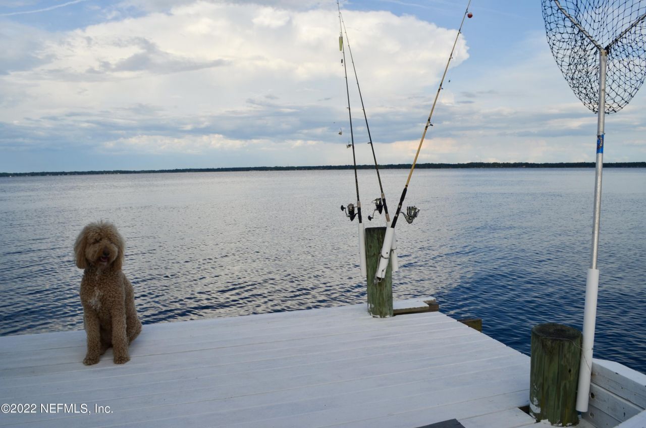 170 N Ridge Drive, Fleming Island, FL 32003 Photo