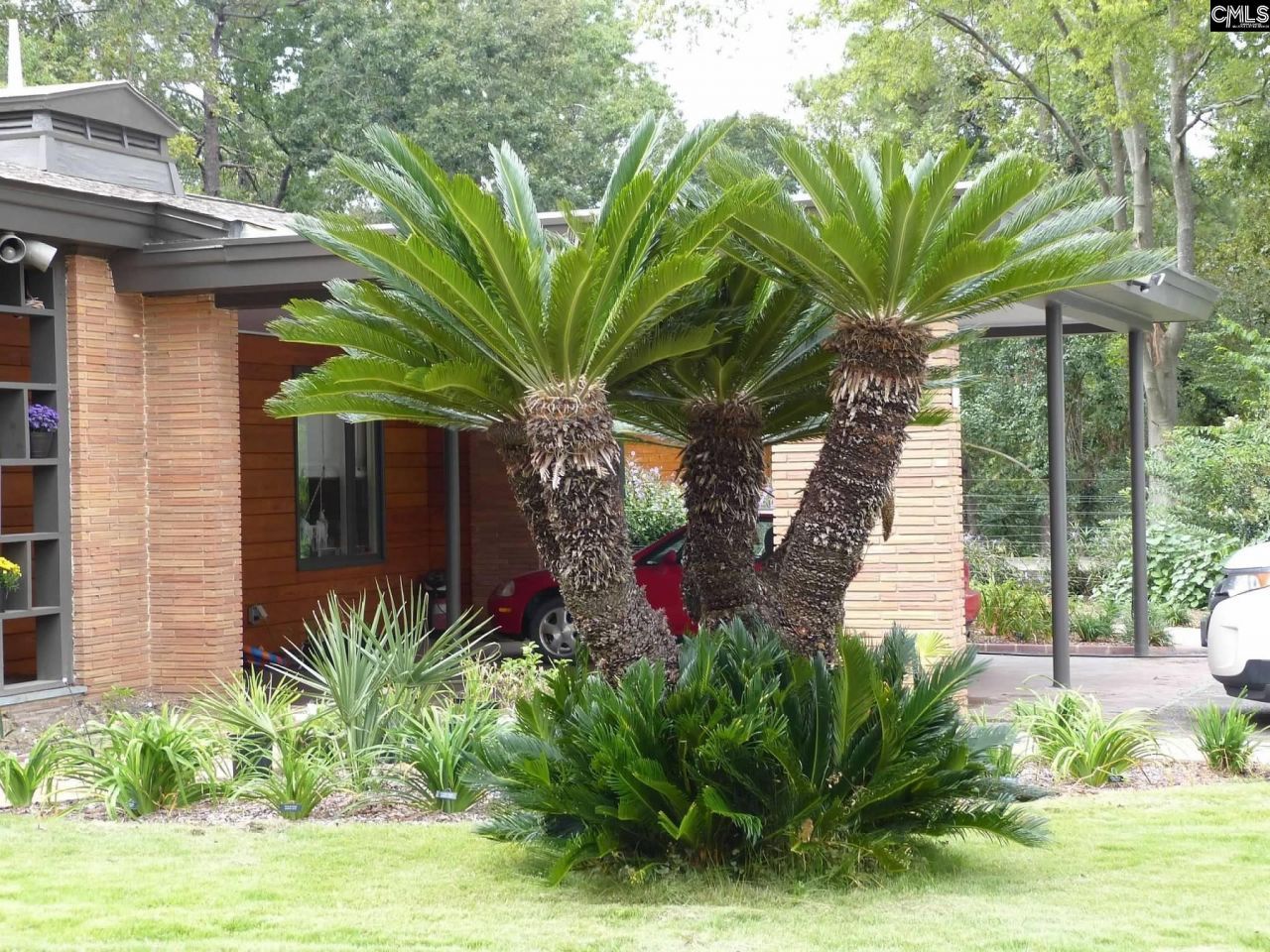 4 Woodhill Circle Photo 4