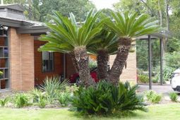 4 Woodhill Circle photo 4