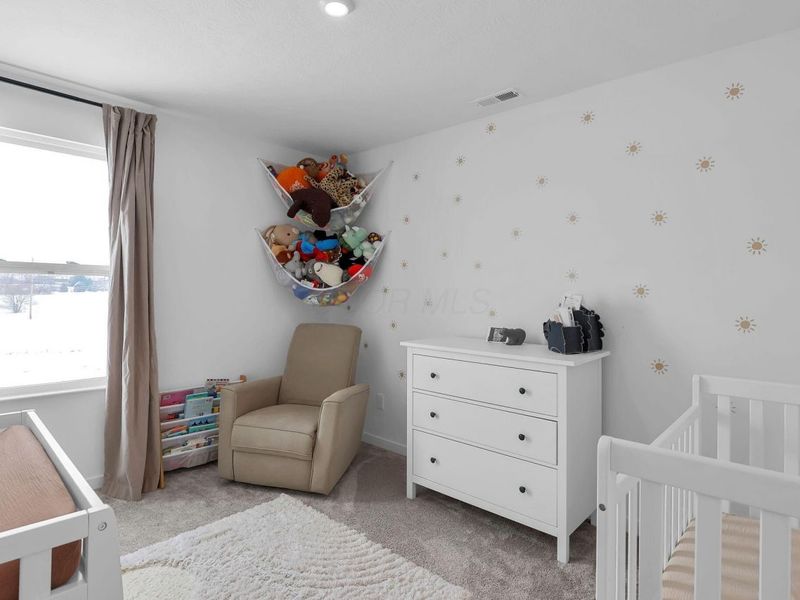 113 Boutot Street, Ashville, OH 43103 Photo 20