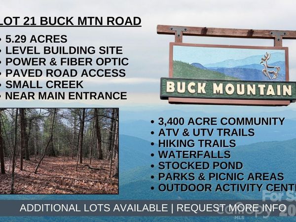 TBD Buck Mountain Road , Purlear, NC 28665