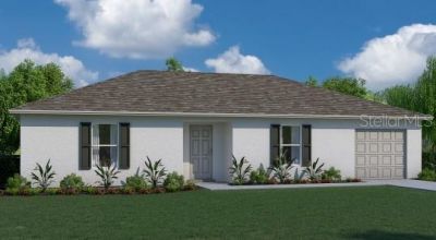 10115 Mcmahon Avenue, Hastings, FL 32145 Photo