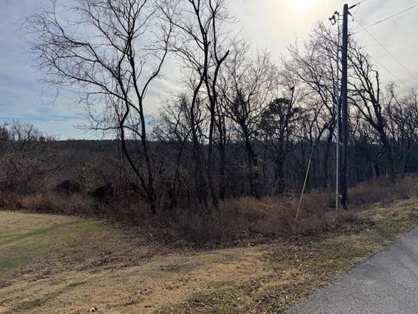 7 S Hills Loop, Holiday Island, AR 72631