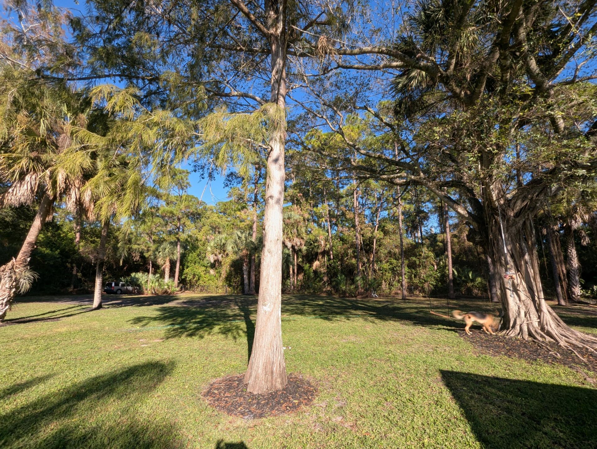14708 Stirrup Lane, Wellington, FL 33414 Photo