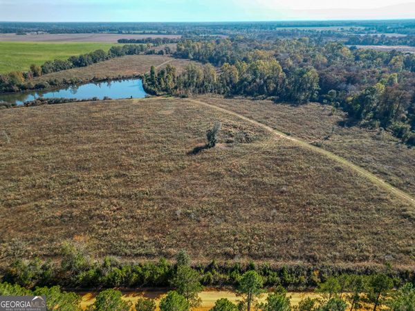 0 William Avera Road, Morgan, GA 39866