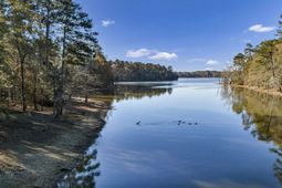 Ferry Phil Court photo 4