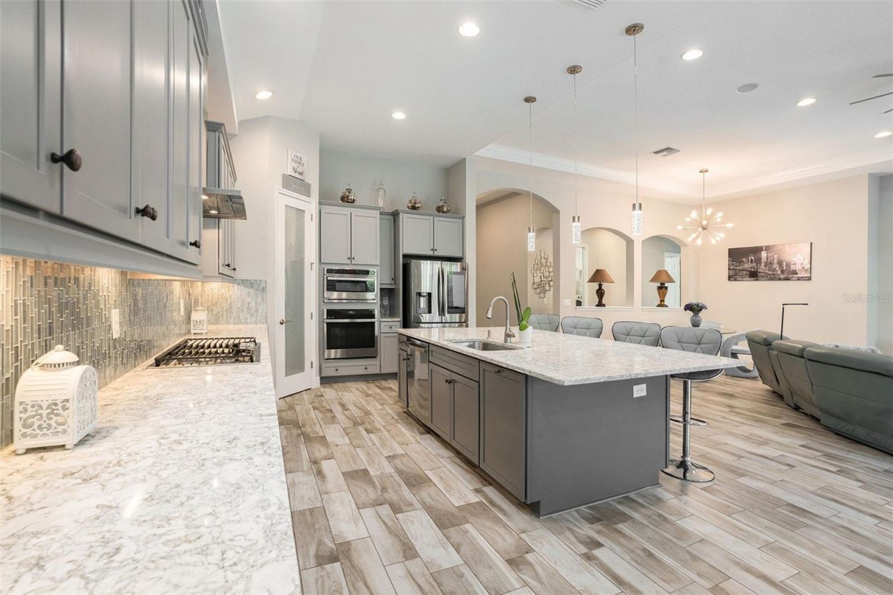 21698 Amelia Rose Way, Land O Lakes, FL 34637 Photo