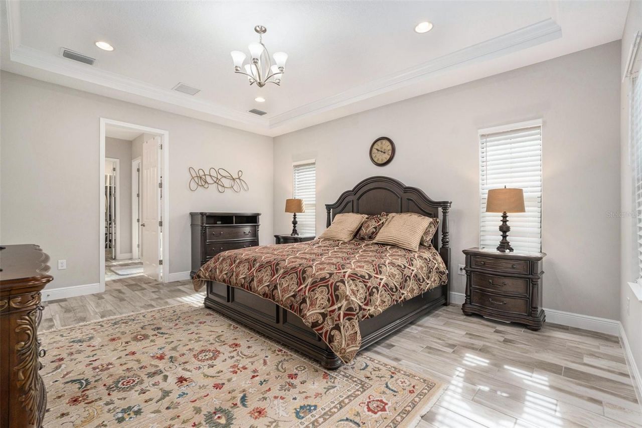 21698 Amelia Rose Way, Land O Lakes, FL 34637 Photo