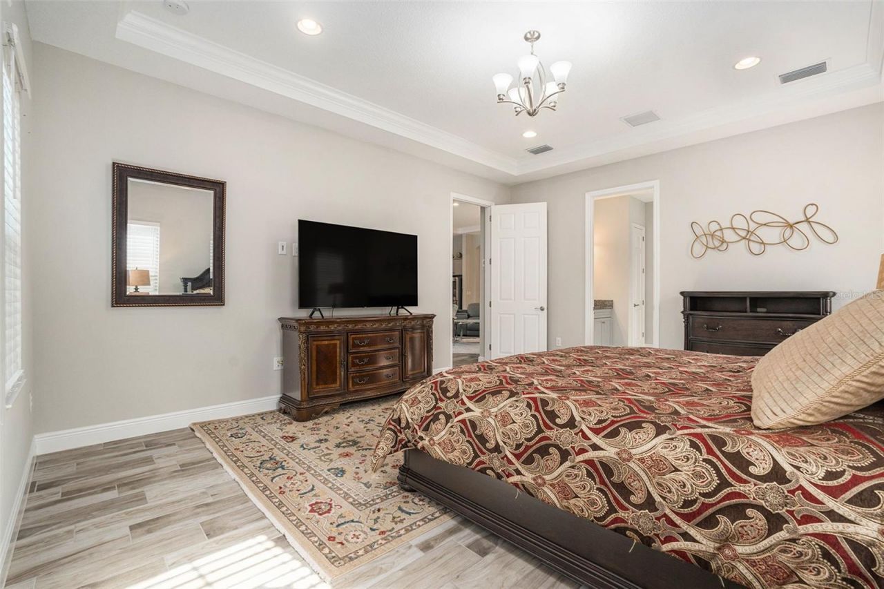 21698 Amelia Rose Way, Land O Lakes, FL 34637 Photo