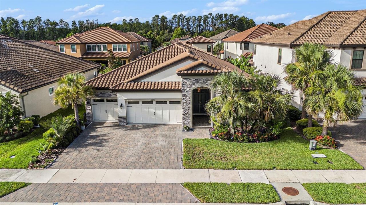 21698 Amelia Rose Way, Land O Lakes, FL 34637 Photo