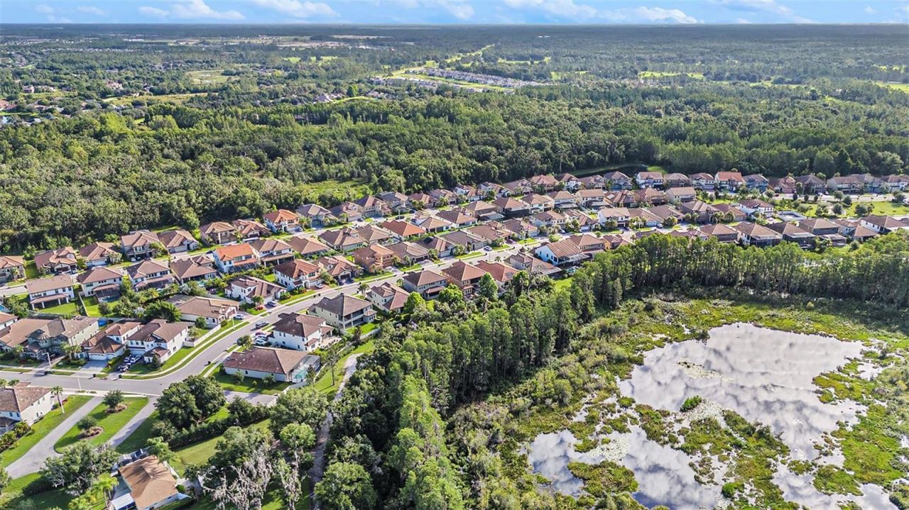 21698 Amelia Rose Way, Land O Lakes, FL 34637 Photo