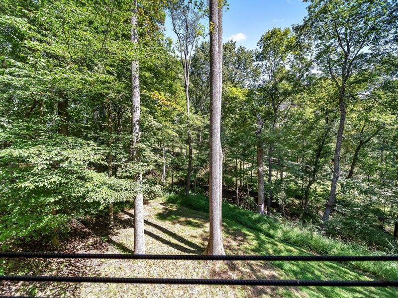 12089 Cantwell Cliffs Road, Rockbridge, OH 43149 Photo 29