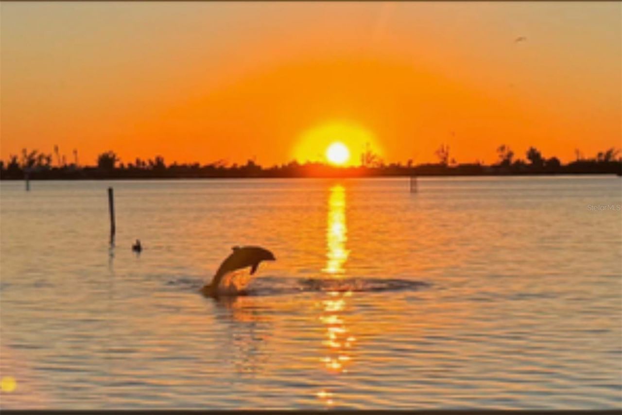 11000 Placida Road, Unit 1601, Placida, FL 33946 Photo