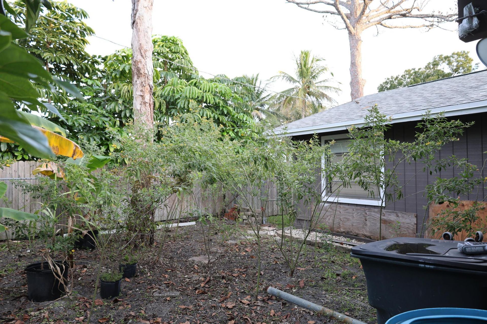 3639 Ivanhoe Avenue, Boynton Beach, FL 33436 Photo