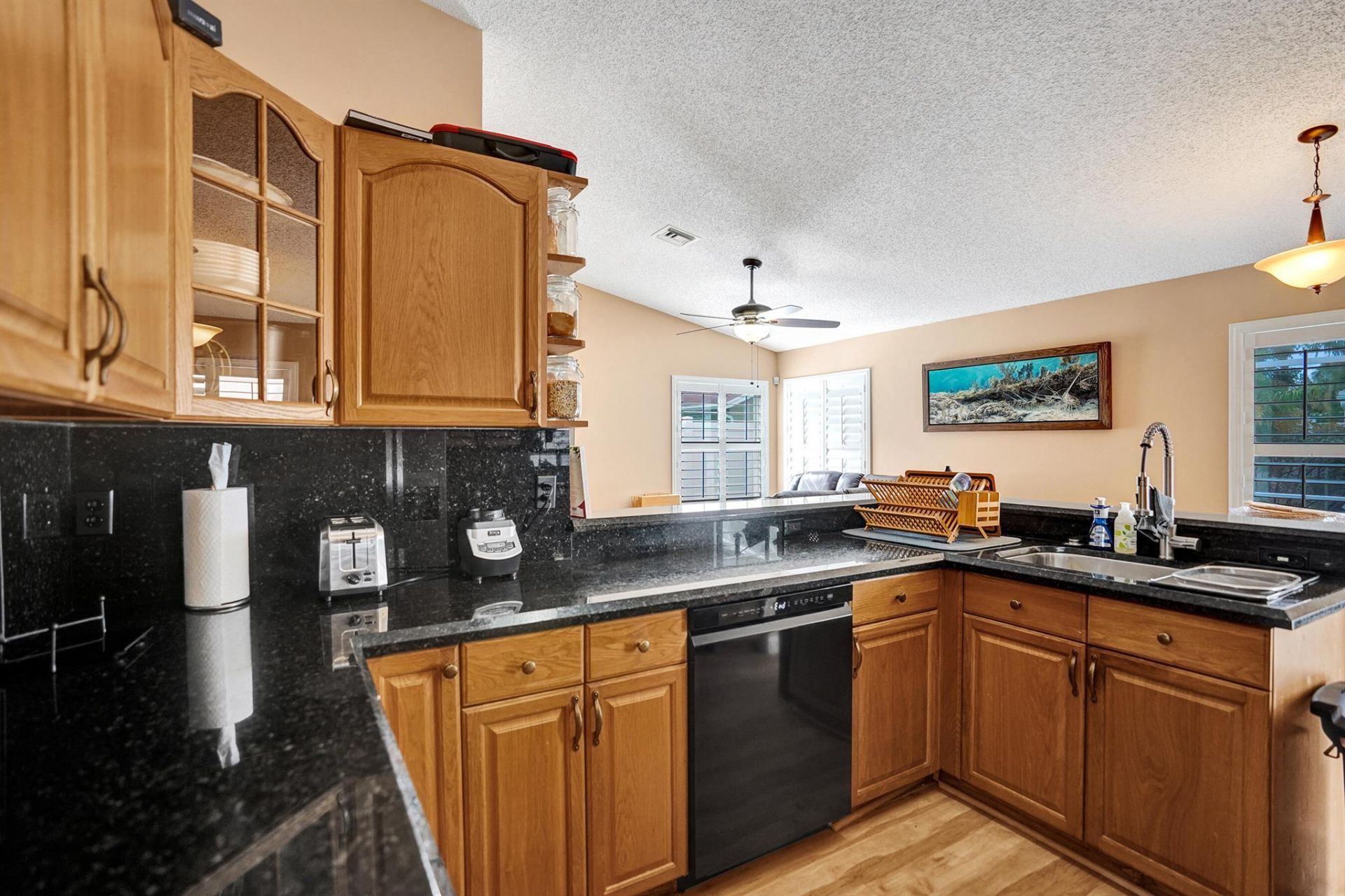 9217 Patina Drive, Boynton Beach, FL 33472 Photo