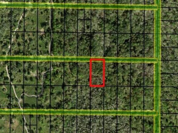 0 County Rd 54, Kathleen, FL 33849