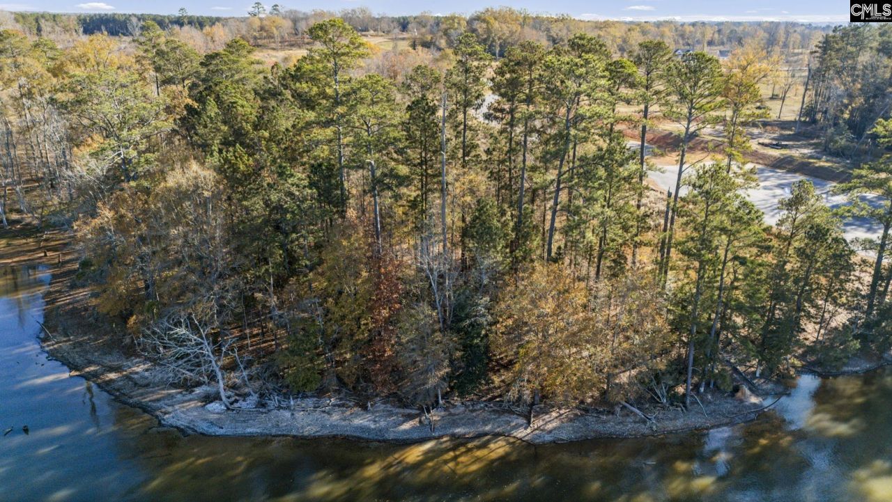 Ferry Phil Court Photo 5