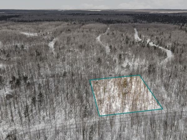 Northwood Drive, Elmira, MI 49730