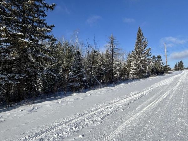 V/L 33.60A S County Line Road, Onaway, MI 49765