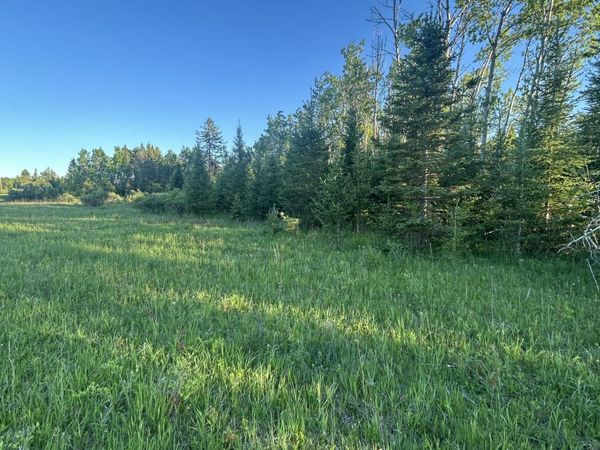V/L 33.60A S County Line Road, Onaway, MI 49765