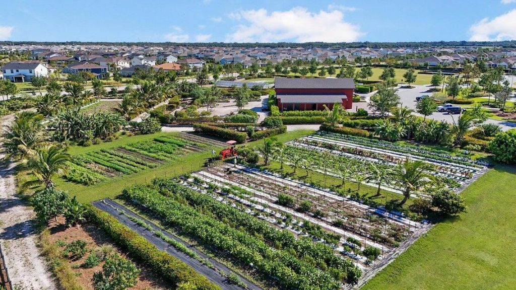 679 Hookline Circle, Loxahatchee, FL 33470 Photo