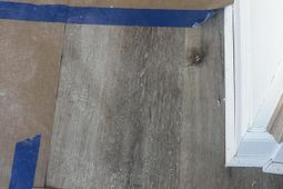 403 Gravy Train Street photo 4