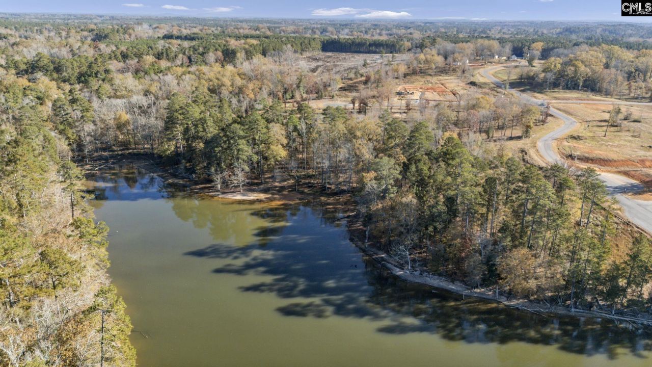 Ferry Phil Court Photo 13