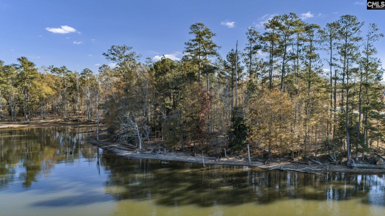 Ferry Phil Court Photo 5