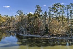 Ferry Phil Court photo 4