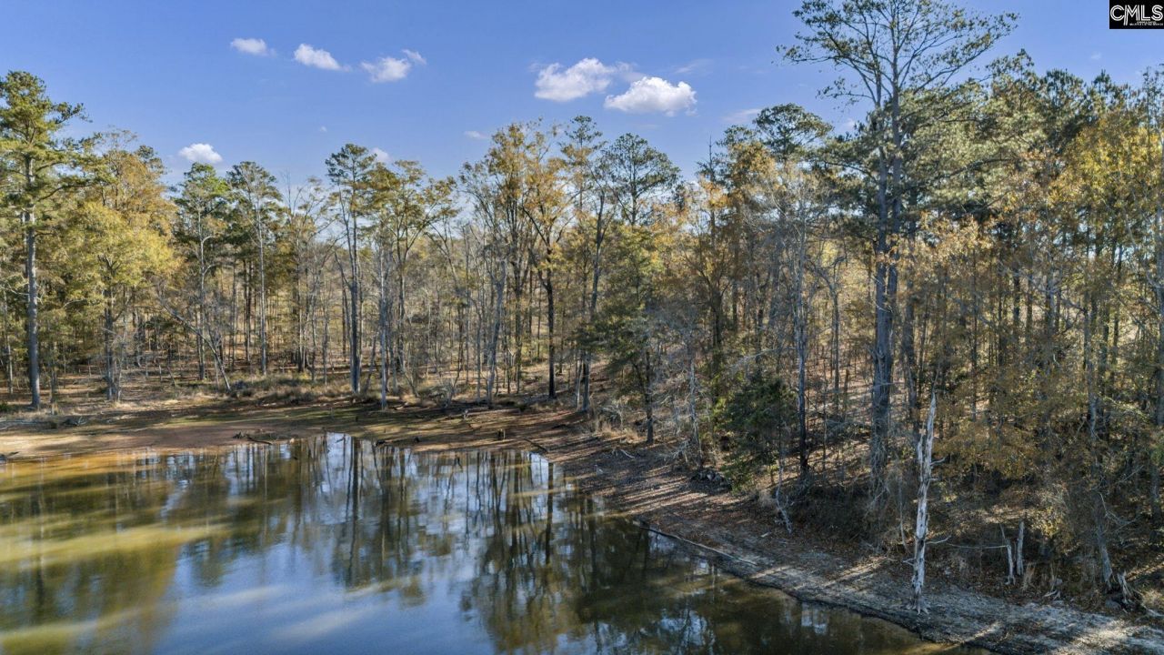 Ferry Phil Court Photo 6