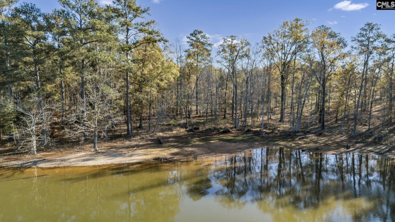 Ferry Phil Court Photo 7