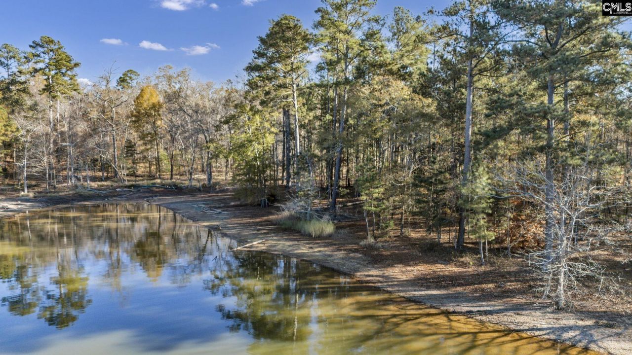 Ferry Phil Court Photo 8