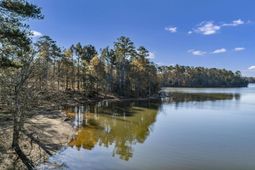 Ferry Phil Court photo 4