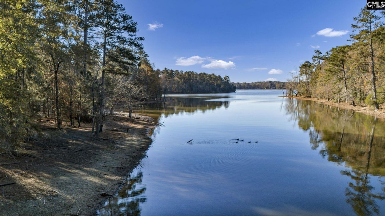 Ferry Phil Court Photo 5