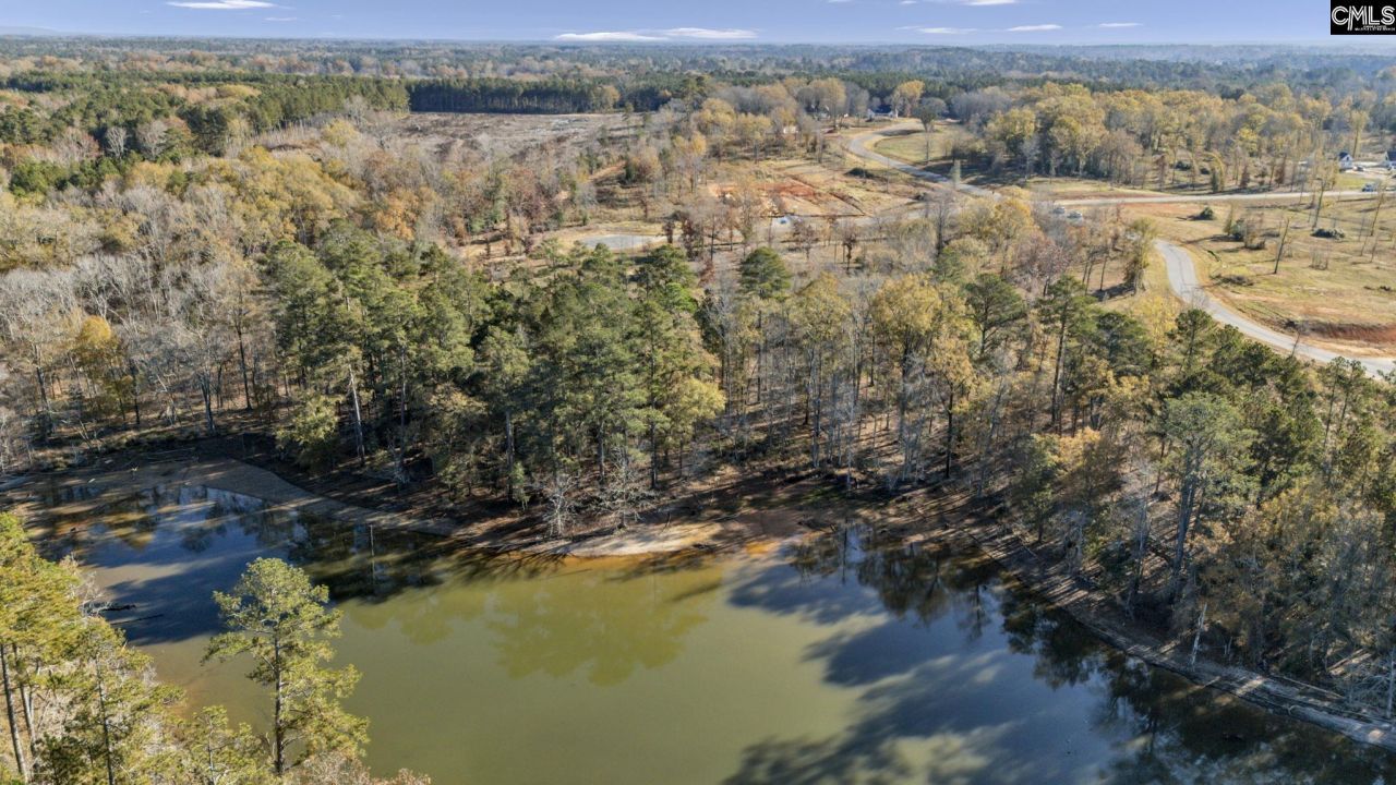 Ferry Phil Court Photo 8