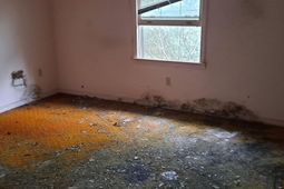 2416 Prince St. photo 4