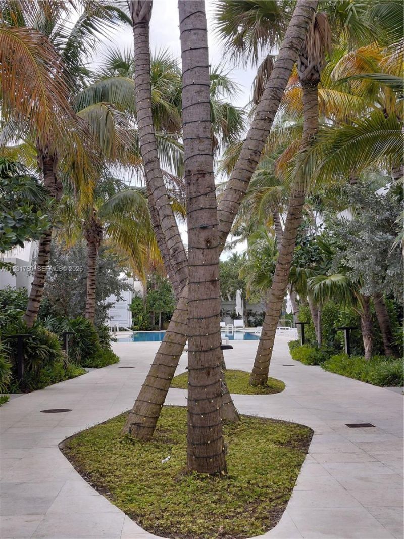 6365 Collins Ave, Unit 905, Miami Beach, FL 33141 Photo