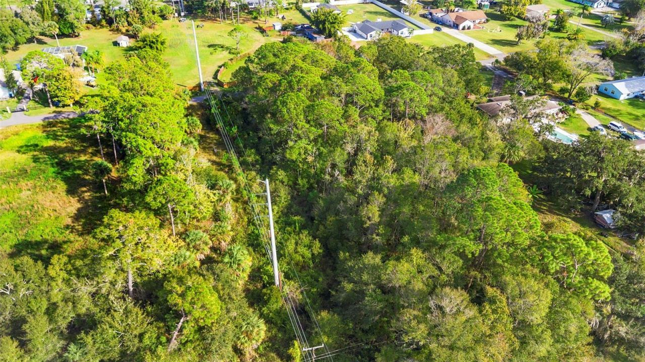 Pinedale Road, Edgewater, FL 32132 Photo