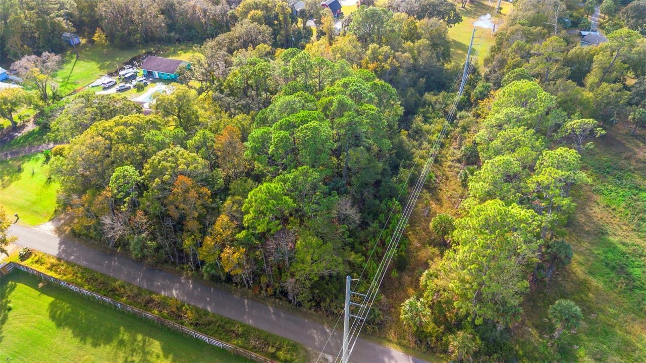 Pinedale Road, Edgewater, FL 32132 Photo