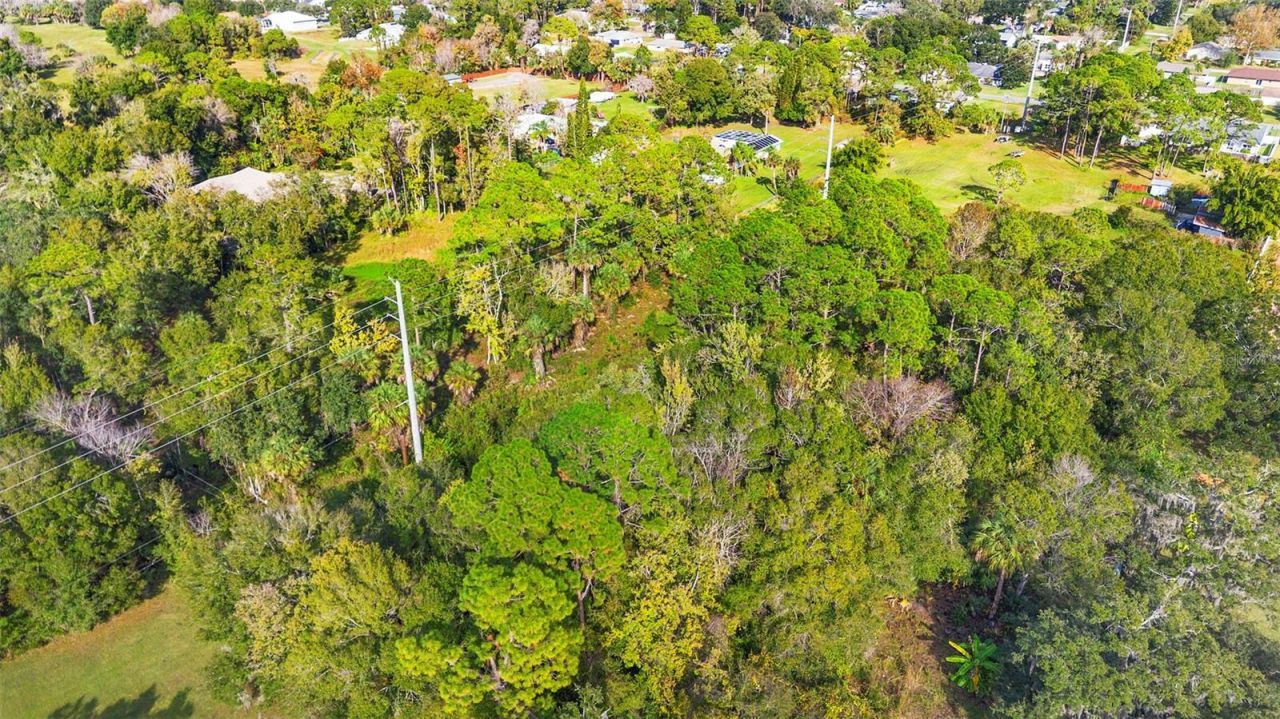 Pinedale Road, Edgewater, FL 32132 Photo