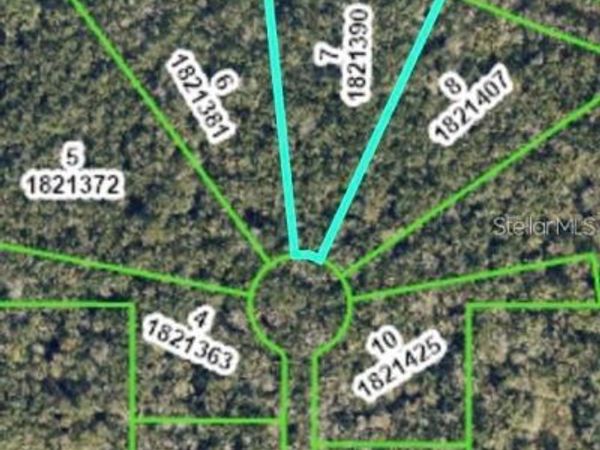 REPUBLICAN (LOT 7) WAY, BROOKSVILLE, FL 34601