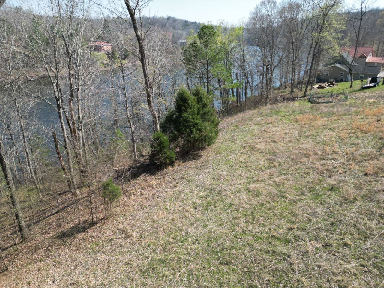 0 Canyon Run Road, Lot 91, Unit Lot 91, Lewisburg, KY 42256 Main Photo